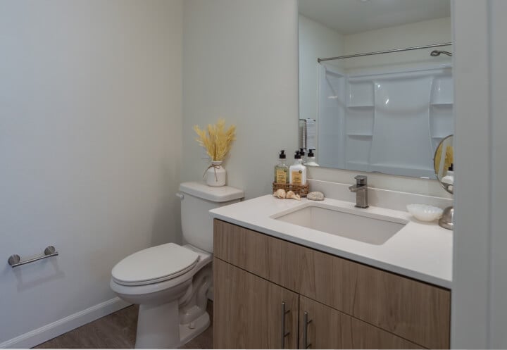 Accessible Bathroom With Safety Features and Walk In Shower at Independent Living Facility Accessible Bathroom With Safety Features and Walk In Shower at Independent Living Facility