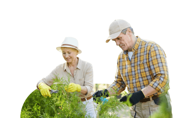 Elderly Couple Trimming Plants Together with Garden Shears at Independent Living Community