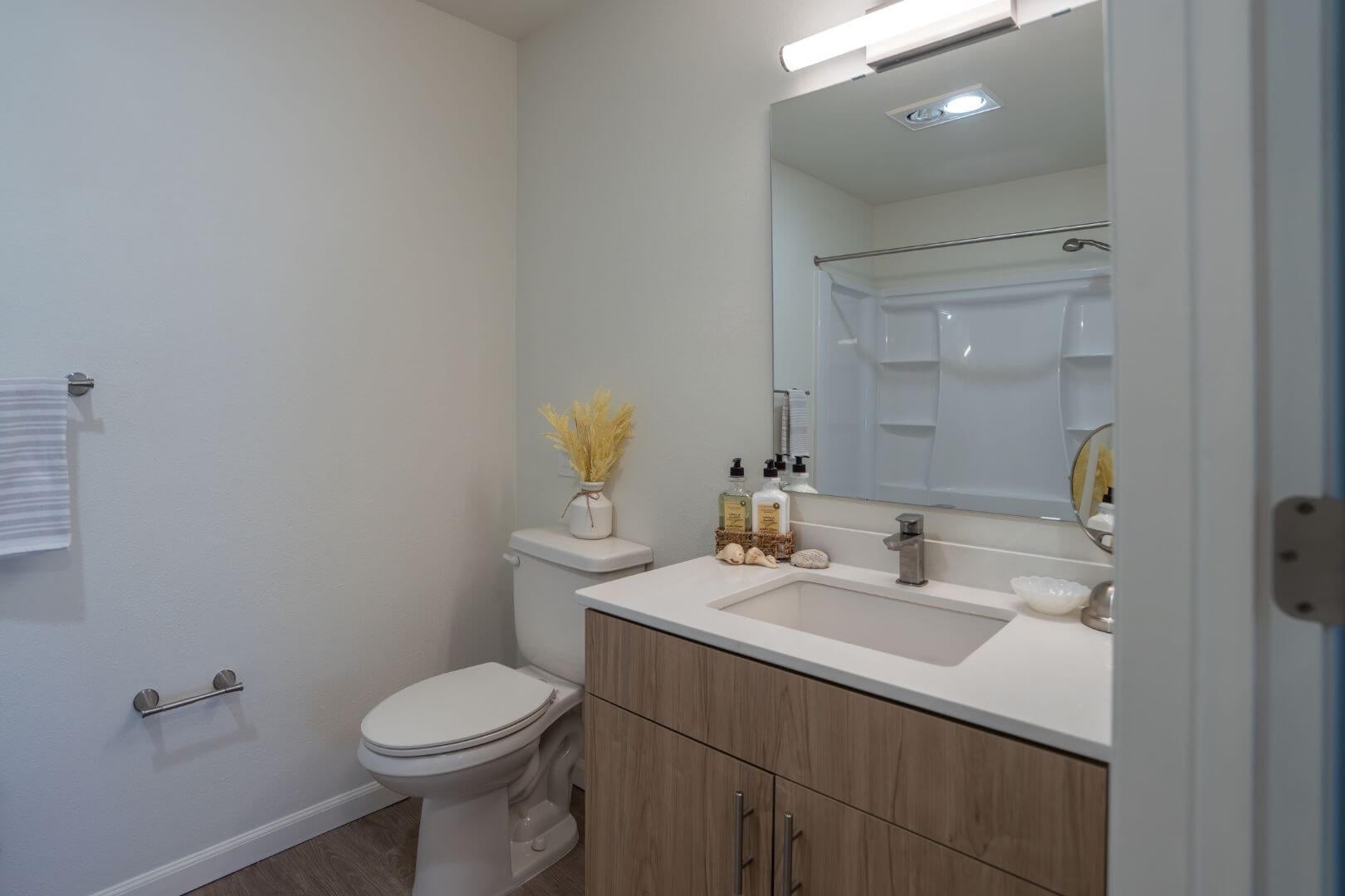 Clean Bathroom with Wood Vanity and Walk-in Shower in Independent Living